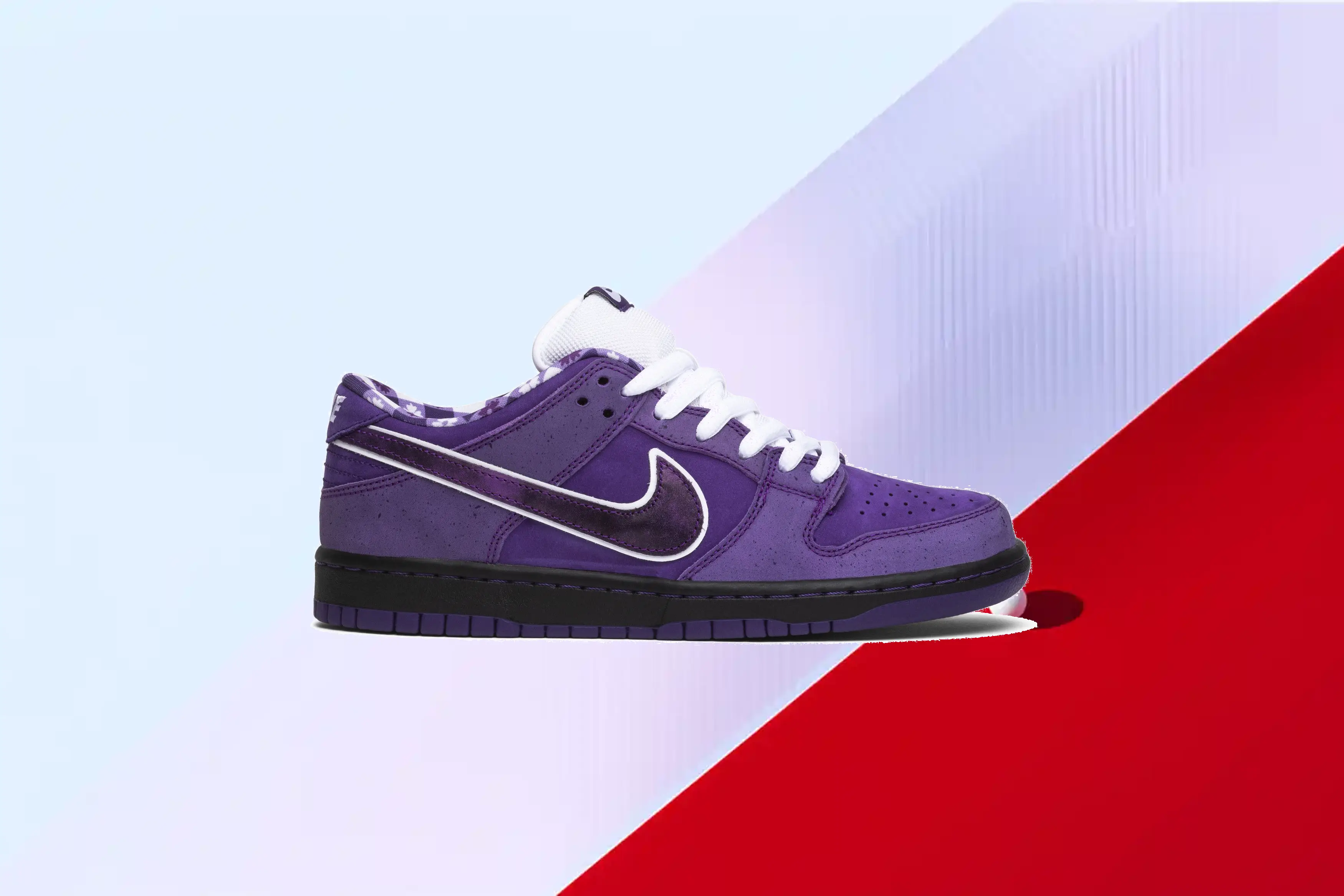  Concepts x Dunk Low SB 'Purple Lobster' Special Box